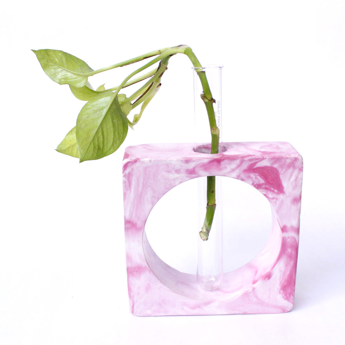 Polaris Fox Square Test Tube Planter With Test Tube (pink)