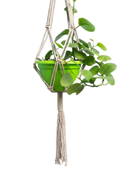 Handmade Cotton Macrame Plant Pot Hanger (style 04)