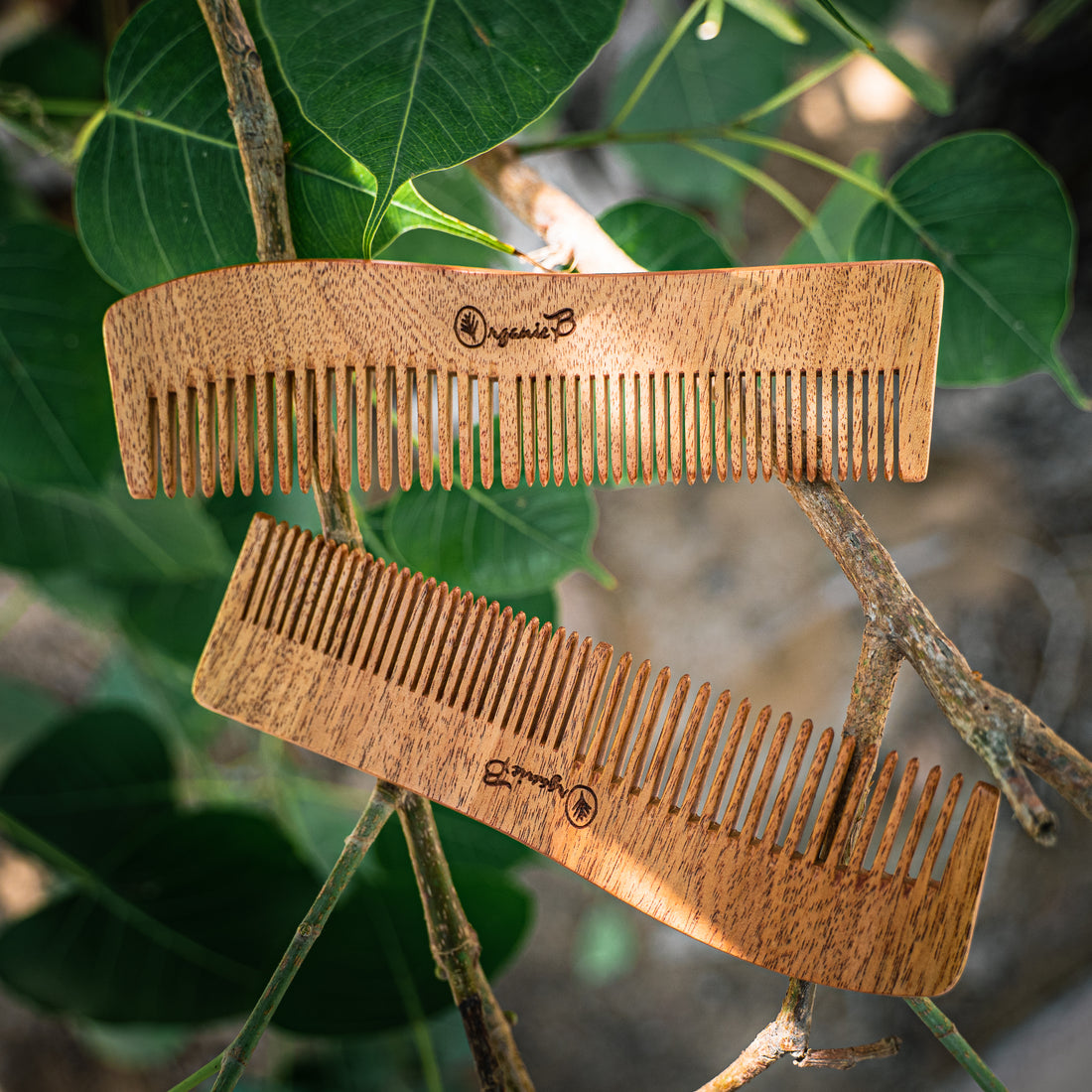 Neem Wood Wave Shaped Comb