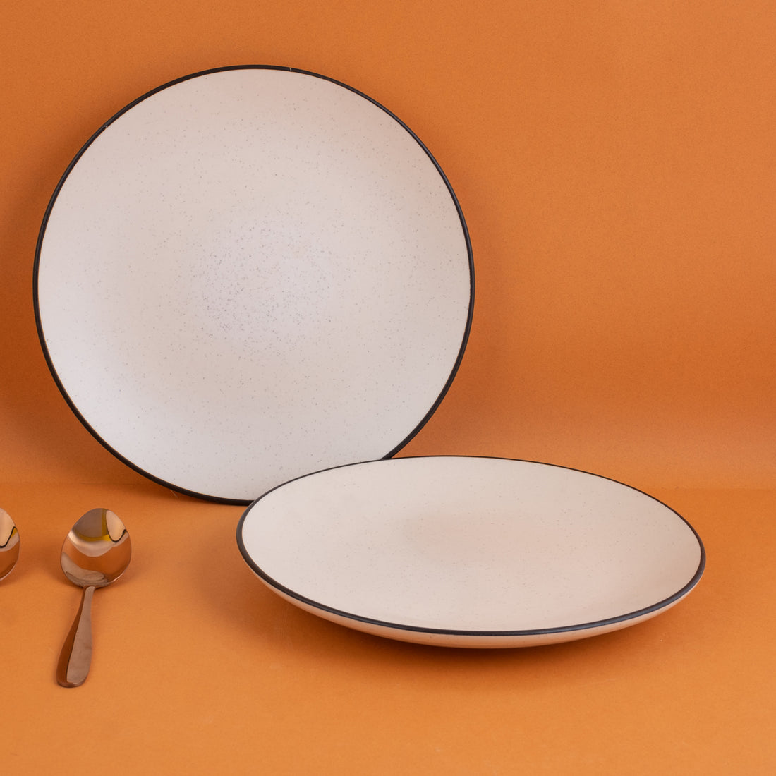 White Dinner Plate With Black Boundary