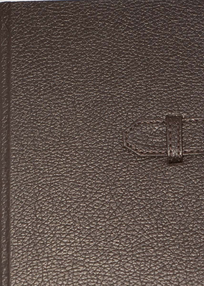 Master Planner Diary- Pu Leather