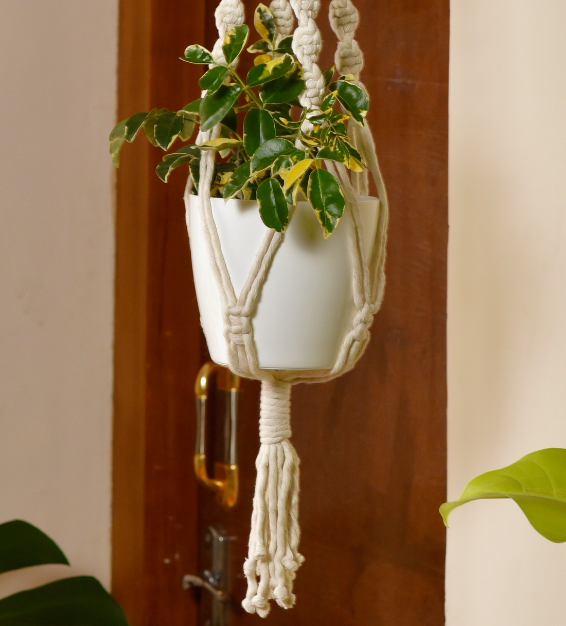 Premium Macrame Cotton Boho Plant Hanger Without Pot And Plant (hibiscus)