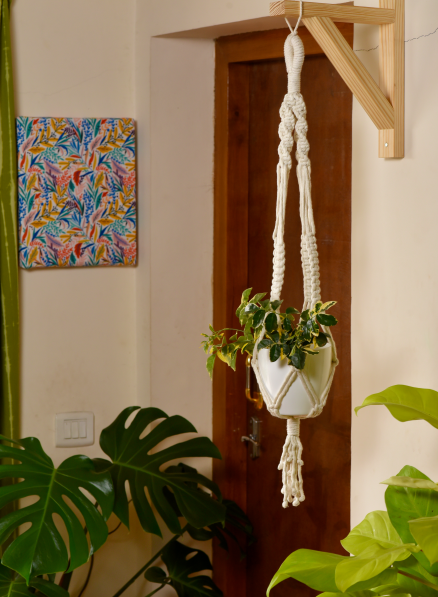 Premium Macrame Cotton Boho Plant Hanger Without Pot And Plant (lily)