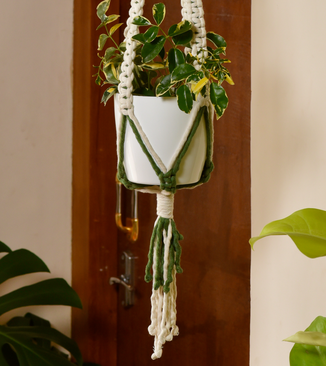 Premium Macrame Cotton Boho Plant Hanger Without Pot And Plant (jasmine)