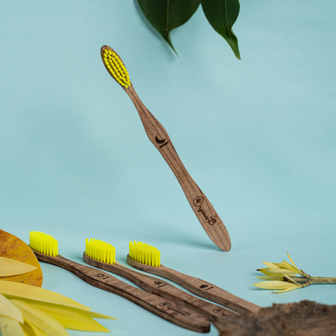 Babool Acacia Organic Toothbrush