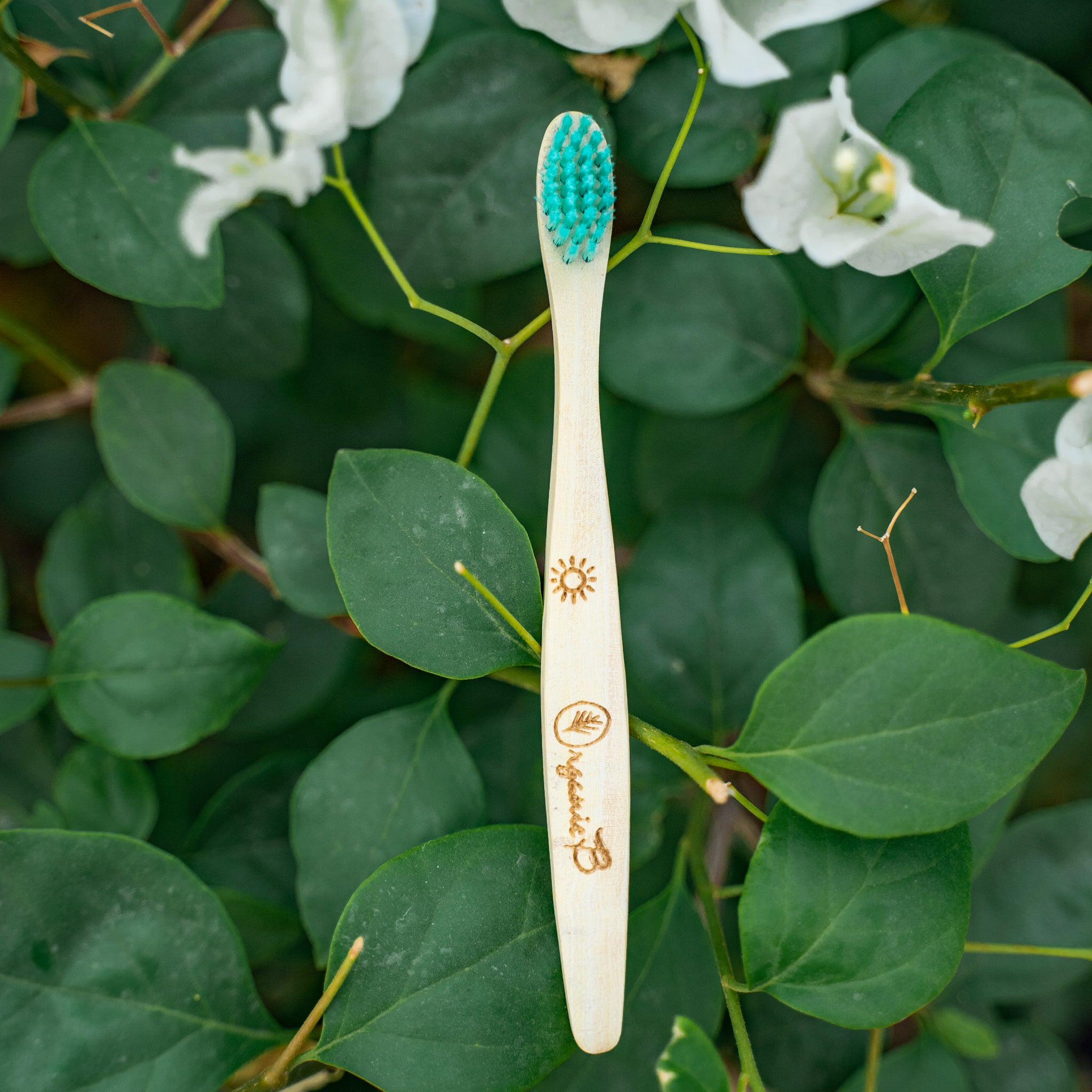 Neem Wood Baby Toothbrush