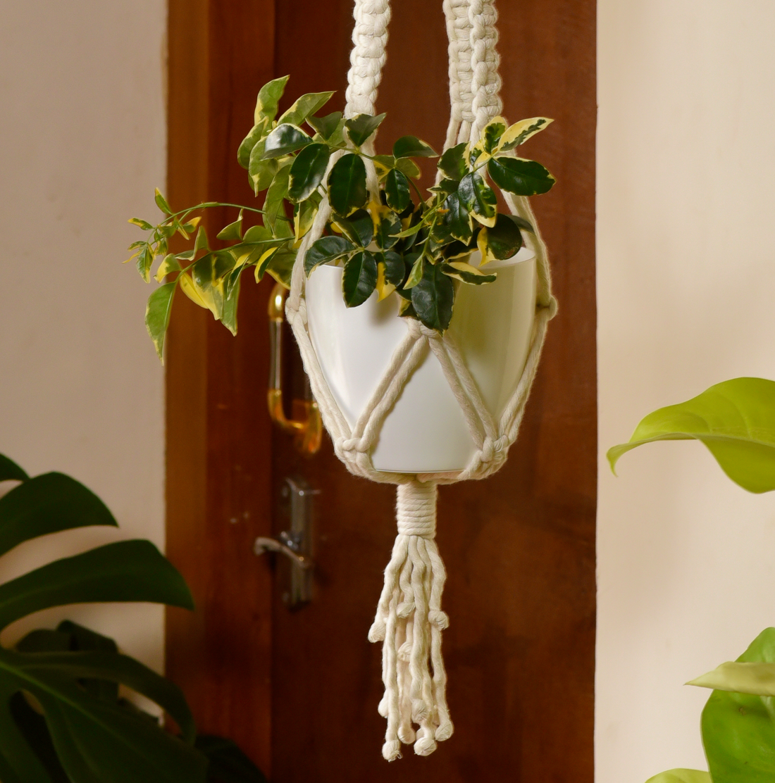 Premium Macrame Cotton Boho Plant Hanger Without Pot And Plant (lily)