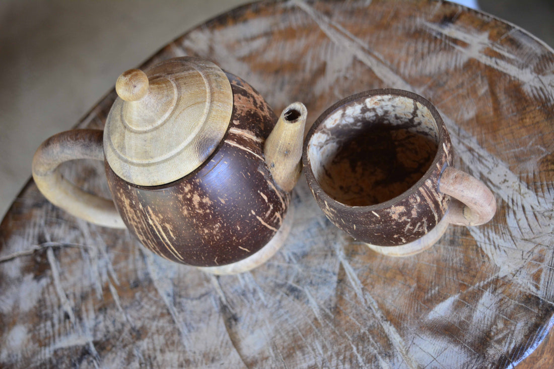 Coconut Shell Cups