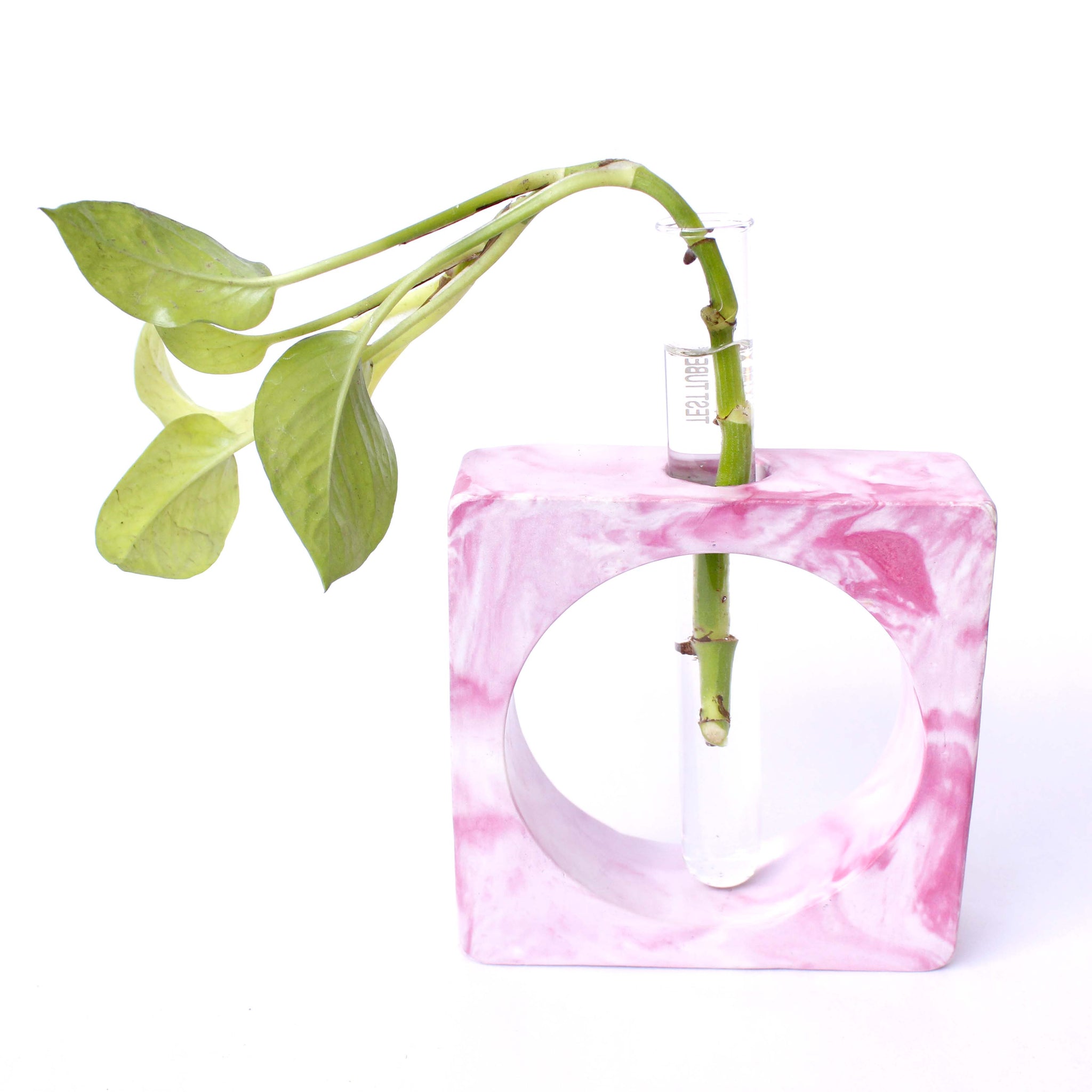 Polaris Fox Square Test Tube Planter With Test Tube (pink)