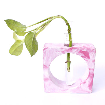 Polaris Fox Square Test Tube Planter With Test Tube (pink)