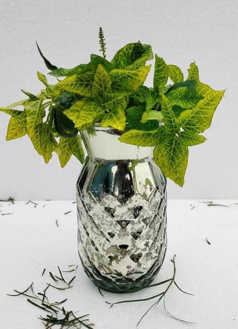 Antique Silver Glass Vase