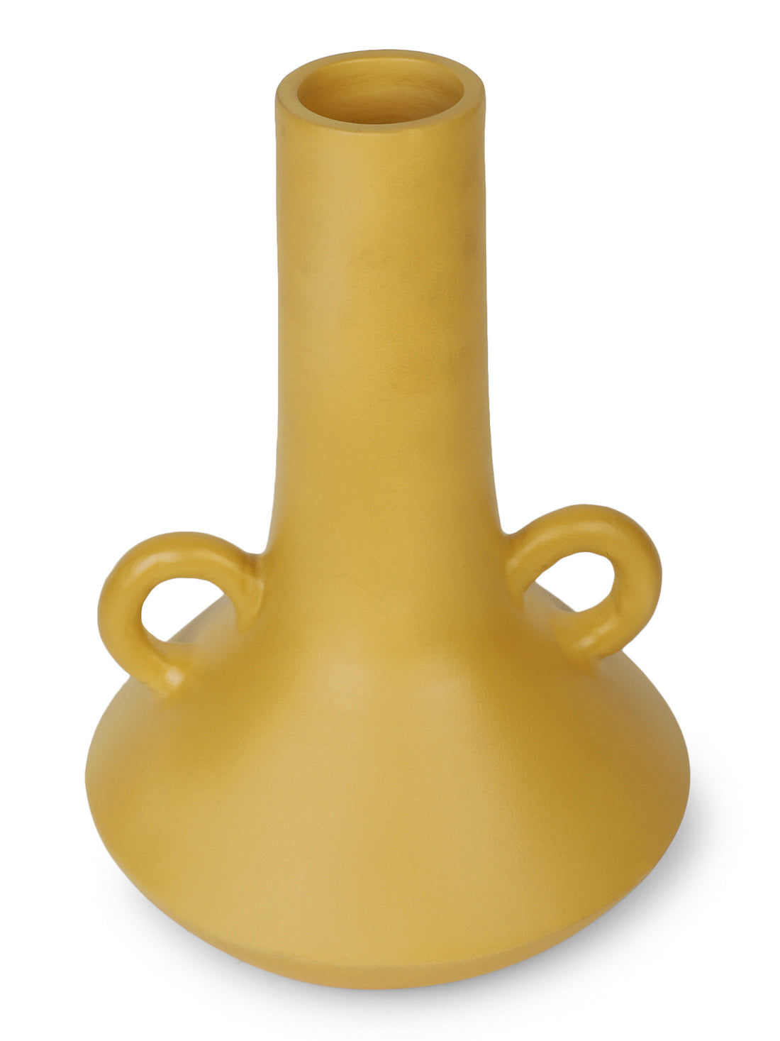 Long Neck Decorative Vase