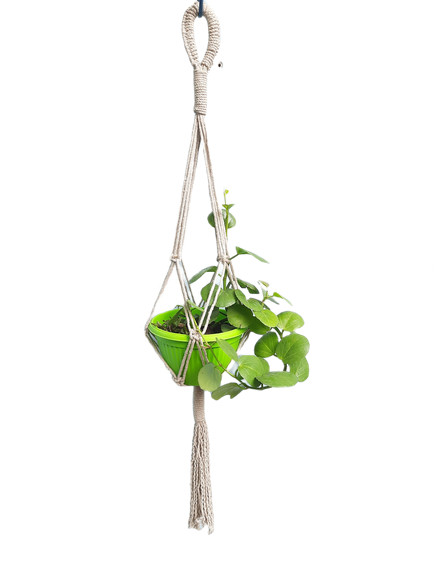 Handmade Cotton Macrame Plant Pot Hanger (style 04)