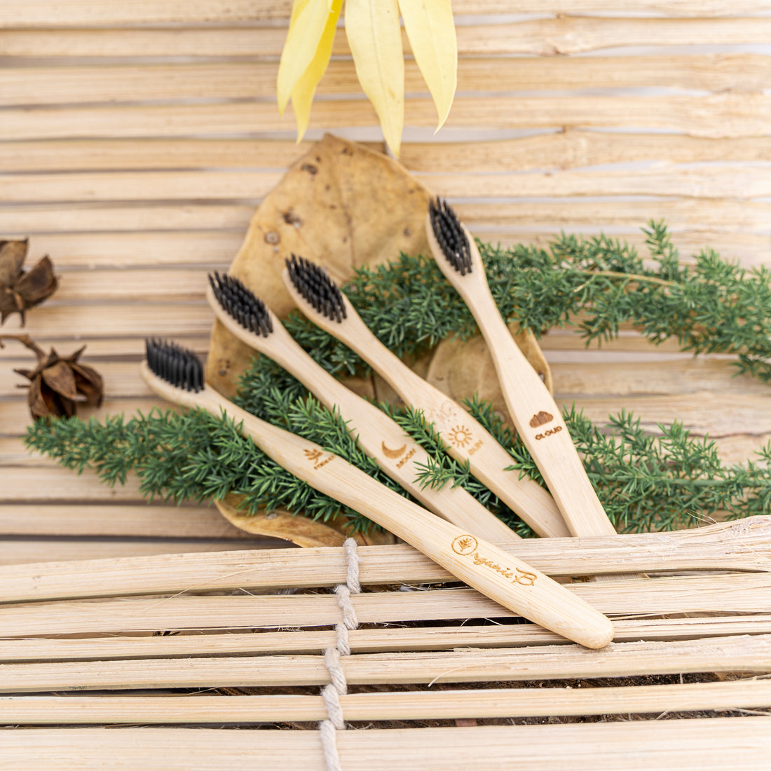 Charcoal Bamboo Toothbrush