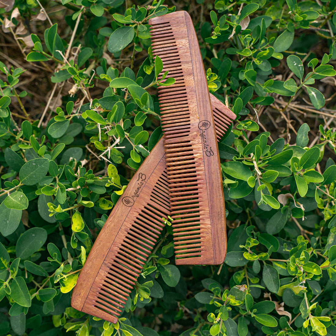 Rosewood Full Size Comb